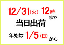 12/31(火) 12時まで当日出荷